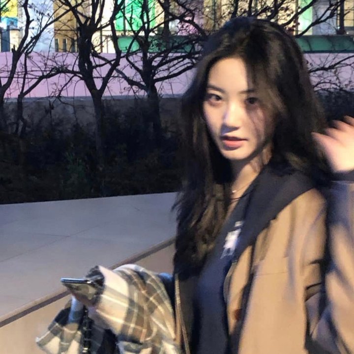 哈里如何变成一棵树